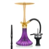 Aladin Shisha MVP A46 Gold - Purple 1 Aladin Shisha MVP A46 Gold - Purple -Dr.Sheesha Geschaft xaladin shisha mvp a46 gold purple.jpg.pagespeed.ic .aepG7yal l